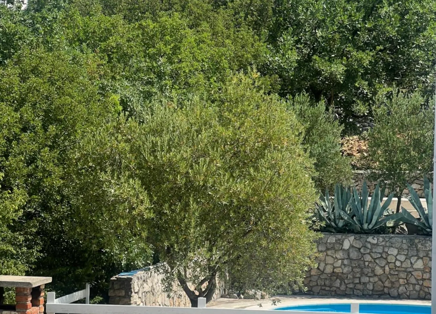 Apartments Villa Klaudia - Adults Only Crikvenica Croatia